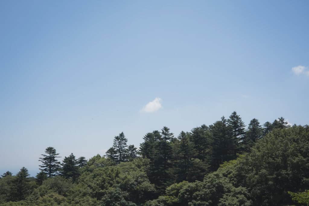 美食日記|輕井澤跨縣界的山中茶屋:しげの屋